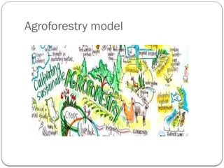 Agroforestry model
 