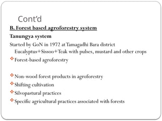 Cont’d
B. Forest based agroforestry system
Tanungya system
Started by GoN in 1972 atTamagadhi Bara district
Eucalyptus+Sissoo+Teak with pulses, mustard and other crops
Forest-based agroforestry
Non-wood forest products in agroforestry
Shifting cultivation
Silvopastural practices
Specific agricultural practices associated with forests
 