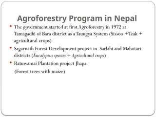Agroforestry Program in Nepal
 The government started at first Agroforestry in 1972 at
Tamagadhi of Bara district as aTaungya System (Sissoo +Teak +
agricultural crops)
 Sagarnath Forest Development project in Sarlahi and Mahotari
districts (Eucalyptus species + Agricultural crops)
 Ratuwamai Plantation project Jhapa
(Forest trees with maize)
 