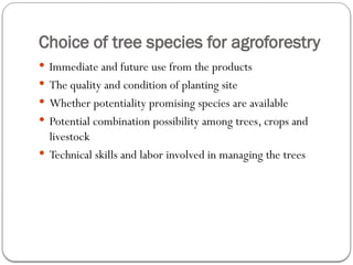 Choice of tree species for agroforestry
 Immediate and future use from the products
 The quality and condition of planting site
 Whether potentiality promising species are available
 Potential combination possibility among trees, crops and
livestock
 Technical skills and labor involved in managing the trees
 