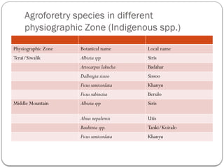Agroforetry species in different
physiographic Zone (Indigenous spp.)
Physiographic Zone Botanical name Local name
Terai/Siwalik Albizia spp Siris
Artocarpus lakucha Badahar
Dalbergia sissoo Sissoo
Ficus semicordata Khanyu
Ficus subincisa Berulo
Middle Mountain Albizia spp Siris
Alnus nepalensis Utis
Bauhinia spp. Tanki/Koiralo
Ficus semicordata Khanyu
 