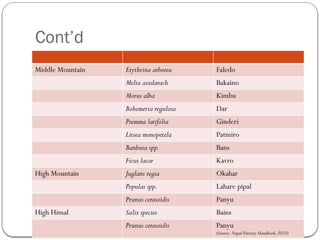 Cont’d
Middle Mountain Erythrina arborea Faledo
Melia azedarach Bakaino
Morus alba Kimbu
Bohemeria regulosa Dar
Premma latifolia Ginderi
Litsea monopetela Patmiro
Banbusa spp. Bans
Ficus lacor Kavro
High Mountain Juglans regia Okahar
Populas spp. Lahare pipal
Prunus cerasoidis Panyu
High Himal Salix species Bains
Prunus cerasoidis Panyu
(Source- Nepal Forestry Handbook,2010)
 