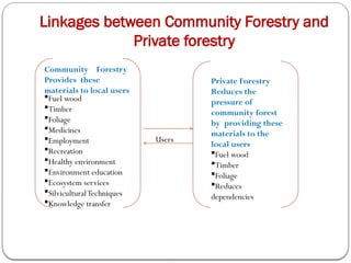 Linkages between Community Forestry and
Private forestry
Fuel wood
Timber
Foliage
Medicines
Employment
Recreation
Healthy environment
Environment education
Ecosystem services
SilviculturalTechniques
Knowledge transfer
Community Forestry
Provides these
materials to local users
Private Forestry
Reduces the
pressure of
community forest
by providing these
materials to the
local users
Fuel wood
Timber
Foliage
Reduces
dependencies
Users
 