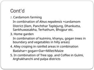 Cont’d
2. Cardamom farming
In combination of Alnus nepalensis +cardamom
District (Ilam, Panchthar Taplejung, Dhankutta,
Sankhuwasabha, Terhathum, Bhojpur etc.
3. Home garden
In combination of kutmiro, khanyu, gogan trees in
boundary and vegetables in hilly areas)
4. Alley croping in rainfed areas in combination
Badahar+ gogan+Dar+Millet/Maize
5. In combination of Tree spp. and Coffee in Gulmi,
Arghakhanchi and palpa districts
 