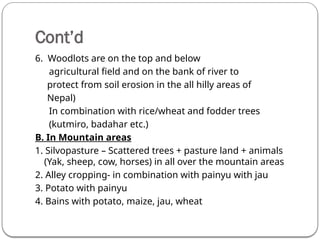 Cont’d
6. Woodlots are on the top and below
agricultural field and on the bank of river to
protect from soil erosion in the all hilly areas of
Nepal)
In combination with rice/wheat and fodder trees
(kutmiro, badahar etc.)
B. In Mountain areas
1. Silvopasture – Scattered trees + pasture land + animals
(Yak, sheep, cow, horses) in all over the mountain areas
2. Alley cropping- in combination with painyu with jau
3. Potato with painyu
4. Bains with potato, maize, jau, wheat
 