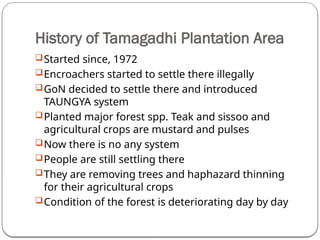 History of Tamagadhi Plantation Area
Started since, 1972
Encroachers started to settle there illegally
GoN decided to settle there and introduced
TAUNGYA system
Planted major forest spp. Teak and sissoo and
agricultural crops are mustard and pulses
Now there is no any system
People are still settling there
They are removing trees and haphazard thinning
for their agricultural crops
Condition of the forest is deteriorating day by day
 