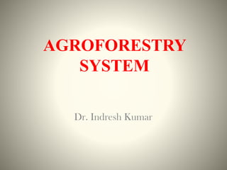AGROFORESTRY
SYSTEM
Dr. Indresh Kumar
 