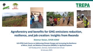 thumbnail of Agroforestry and benefits for GHG emissions reduction, resilience, and job creation: Insights from Rwanda
