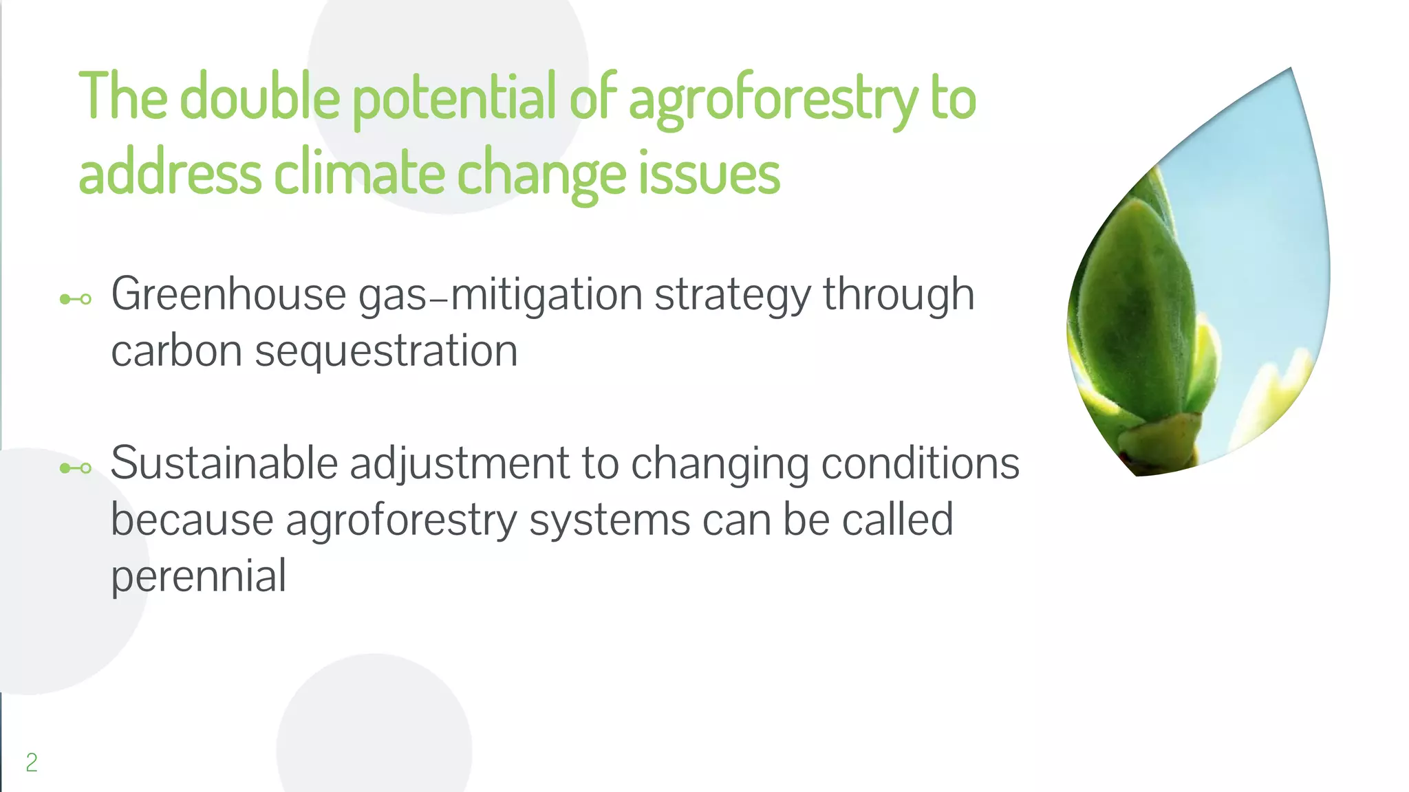 Agroforestry and climate change | PDF