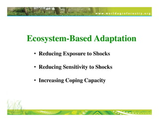 Ecosystem-Based Adaptation	
•  Reducing Exposure to Shocks 	
	
•  Reducing Sensitivity to Shocks	
	
•  Increasing Coping Capacity	
	
 