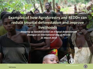 FAO Forestry
www.fao.org/forestryFAO Forestry
Examples of how Agroforestry and REDD+ can
reduce tropical deforestation and improve
livelihoods
Stepping up Swedish action on tropical deforestation
Dialogue on International Day of Forests
21 March 2019
 
