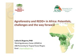 Agroforestry	and	REDD+	in	Africa:	Poten6als,	
challenges	and	the	way	forward	
Lalisa A. Duguma, PhD
World Agroforestry Center (ICRAF) &
ASB Partnership for Tropical Forest Margins
Email: l.duguma@cgiar.org
 