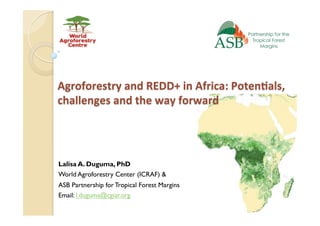 Agroforestry	and	REDD+	in	Africa:	Poten6als,	
challenges	and	the	way	forward	
Lalisa A. Duguma, PhD
World Agroforestry Cen...