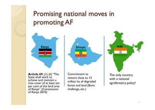 Agroforestry and redd+ in Africa: potentials, challenges and the way forward