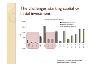 Agroforestry and redd+ in Africa: potentials, challenges and the way forward