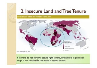 Agroforestry and redd+ in Africa: potentials, challenges and the way forward