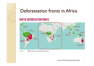 Agroforestry and redd+ in Africa: potentials, challenges and the way forward