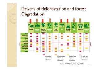 Agroforestry and redd+ in Africa: potentials, challenges and the way forward