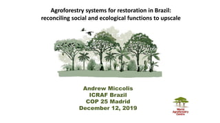 Agroforestry systems for restoration in Brazil:
reconciling social and ecological functions to upscale
Andrew Miccolis
ICRAF Brazil
COP 25 Madrid
December 12, 2019
 