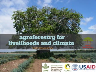agroforestry for
livelihoods and climate
Todd Rosenstock
 