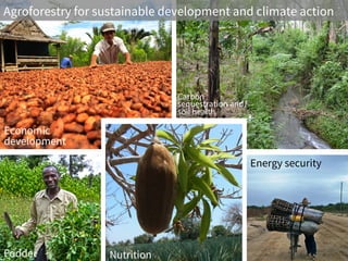 Agroforestry for Livelihoods and Climate