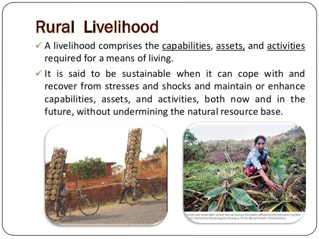 Evolution Of Rural Livelihood Approaches – FYVISM