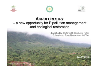 Jianchu Xu, Stefanie D. Goldberg, Peter
E. Mortimer, Anne Ostermann, Kai Yan
AGROFORESTRY
– a new opportunity for P pollution management
and ecological restoration
Sep 9th 2016
 