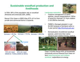 Agroforestry for sustainable wood energy
