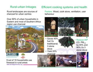 Agroforestry for sustainable wood energy