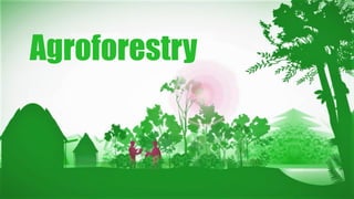 Agroforestry
 