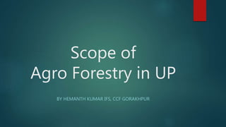 Scope of
Agro Forestry in UP
BY HEMANTH KUMAR IFS, CCF GORAKHPUR
 