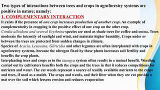Two types of interactions between trees and crops in agroforestry systems are
positive in nature; namely:
1. COMPLEMENTARY INTERACTION
It exists if the presence of one crop increases production of another crop. An example of
complementarity in cropping is the positive effect of one crop on the other crop.
Cordia alliodora and several Erythrina species are used as shade trees for coffee and cocoa. Trees
moderate the intensity of sunlight and wind, and maintain higher humidity. Crops under or
between the trees are protected from sudden changes in climate.
Species of Acacia, Leucaena, Gliricidia and other legumes are often interplanted with crops in
agroforestry systems, because the nitrogen fixed by these plants increases soil fertility and
benefits the crop plants.
Interplanting trees and crops as in the taungya system often results in a mutual benefit. Weeding
carried out by cultivators benefits both the crops and the trees in that it reduces competitions for
nutrients and water. The cut weeds represent a source of readily available nutrients to the crops
and trees, if used as a mulch. The crops and weeds, and their litter when they are cut provide a
mat over the soil which lessens erosion and reduces evaporation
 