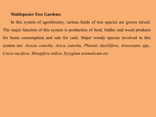 Multispecies Tree Gardens:
In this system of agroforestry, various kinds of tree species are grown mixed.
The major function of this system is production of food, fodder and wood products
for home consumption and sale for cash. Major woody species involved in this
system are: Acacia catechu, Areca catechu, Phoenix dactilifera, Artocarpus spp.,
Cocos nucifera, Mangifera indica, Syzygium aromaticum etc.
 
