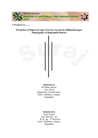 A Proposal on…….
Promotion of Improved Agro Forestry System in Siddharthanagar
Municipality of Rupandehi District
Submitted to
Mr.Manoj Basnet
(Asst. Prof)
Department of Horticulture
IAAS, Paklihawa Campus,
Rupandehi
Submitted by
Suraj Poudel
Class Roll No.: 60
B. Sc. Ag. 5th Semester
IAAS, Paklihawa Campus,
Rupandehi
 