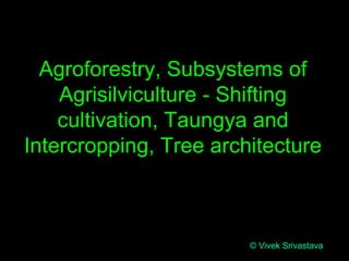 Agroforestry, Subsystems of
Agrisilviculture - Shifting
cultivation, Taungya and
Intercropping, Tree architecture
© Vivek Srivastava
 