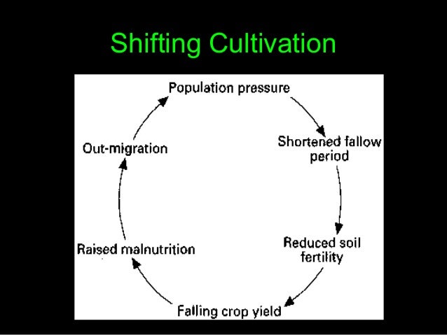 Shifting Cultivation Diagram