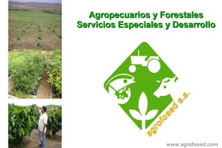 Agropecuarios y ForestalesAgropecuarios y Forestales
Servicios Especiales y DesarrolloServicios Especiales y Desarrollo
www.agrofosed.com
 