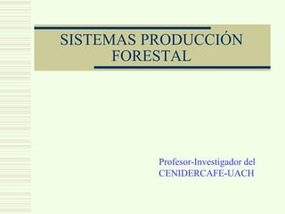 SISTEMAS PRODUCCIÓN
      FORESTAL




          Profesor-Investigador del
          CENIDERCAFE-UACH
 