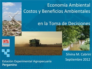 Economía Ambiental
Costos y Beneficios Ambientales

      en la Toma de Decisiones




                   Silvina M. Cabrini
                   Septiembre 2012
 