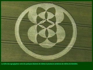 La taille des agroglyphes varie de quelques dizaines de mètres à plusieurs centaines de mètres de diamètre.
 