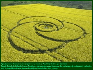 Agroglyphes ou Ce rcles de culture (anglais: « crop circles »)  : Aussi improbables que fascinants.  Canada, Etats-Unis, Hollande, France, Angleterre... dans plusieurs pays du monde, des cultivateurs de céréales sont confrontés à cet étrange phénomène de dessins géométriques sculptés dans leurs champs. 