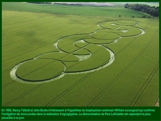 En 1992, Nancy Talbott et John Burke s'intéressent à l'hypothèse du biophysicien américain William Levengood qui confirme l'instigation de micro-ondes dans la réalisation d’agroglyphes. La démonstration de Paul LaViolette est cependant la plus plausible à ce jour. 