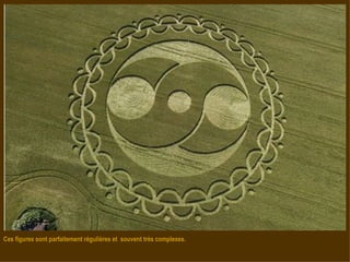 Ces figures sont parfaitement régulières et  souvent très complexes. 