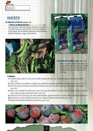 julio

  HUERTA
A) Abonar el Huerto (página 163)
   El Abono de Mantenimiento                             , está
   echo pensando, entre otras partidas del jardín, en tu huerto.
   La perfecta dosis de cada nutriente permite el equilibrio
   en los órganos de tus hortalizas, ahora que más lo necesitan.
   Échalo al atardecer y riega a continuación.




                                                                              B) Recolectar Judías (página 170 a 172)
                                                                                  Este mes podrás comenzar las vainas de
                                                                                  las variedades más tempranas y a medida
                                                                                  que avanza el mes comenzarán a poder
                                                                                  ser recolectadas las variedades de ciclo
                                                                                  más largo.

  Y además ...
   1. Sembrar judías verdes de ciclo corto, semillas amantes del calor que producirán buena cosecha hasta otoño
      (pág. 170).
   2. Hacer semilleros de coliflores y repollos, para plantarlos en agosto-septiembre en el huerto (pág. 184, 185 y 191).
   3. Pinzar los ápices terminales a las plantas de tomate, para que no emitan más flores y se produzca el mateado
      (pág. 189).
   4. Rascar con el rastrillo los fondos de los surcos de riego para eliminar la costra de barro seco que se forma y permitir
      que el agua de riego se aproveche mejor (pág. 165).
   5. Entrecavar el bancal de ajos, para evitar enfermedades y gusanos del suelo, en climas cálidos, efectuar la recolección.
   6. Recolectar las ciruelas Stanley (moradas), Friar (negras) y Reina Claudia (verdes) (pág. 129).
   7. Realizar tratamientos fitosanitarios preventivos (pág. 195-6).




                                                              27
                                                             255
 