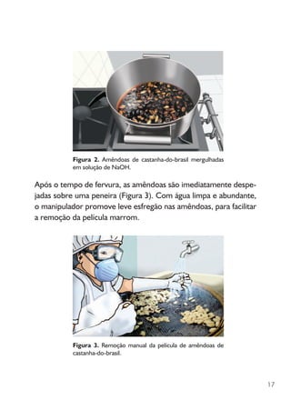 17
Figura 2. Amêndoas de castanha-do-brasil mergulhadas
em solução de NaOH.
Após o tempo de fervura, as amêndoas são imediatamente despe-
jadas sobre uma peneira (Figura 3). Com água limpa e abundante,
o manipulador promove leve esfregão nas amêndoas, para facilitar
a remoção da película marrom.
Figura 3. Remoção manual da película de amêndoas de
castanha-do-brasil.
 