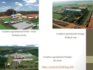 Complexo agroindustrial Pif-Paf – Goiás
Produção avícola
Complexo agroindustrial Amaggi-
Produção soja
Complexo agroindustrial Perdigão
Rio Verde
https://youtu.be/FjZKXgg-iG0
 