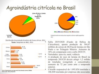Agroindústria citrícola no Brasil
• Safra 2019/2020 (Fundo de Defesa da
Citricultura), aponta produção de 384,87
milhões de caixas de 40,8 kg de laranja em São
Paulo e no Triângulo Mineiro. Aumento de
36% em comparação com a safra 2018/19.
• Variedades: pera rio, natal, valência
• A produção de suco de laranja do Brasil na
temporada 2019/20 deverá atingir 1,2 milhão
de toneladas (congelado e concentrado),
aumento de 72 por cento ante a temporada
anterior.
• CitrusBr responsável do 1.095.854 toneladas e
106.848 toneladas por empresas não associadas
 