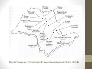 Figura2.Empresasprocessadorasdesucoconcentradonoterritóriocitrícola
 