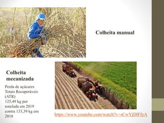 Colheita manual
Colheita
mecanizada
Perda de açúcares
Totais Recuperáveis
(ATR)
125,49 kg por
tonelada em 2019
contra 133,39 kg em
2018 https://www.youtube.com/watch?v=sCwYjDlFfyA
 