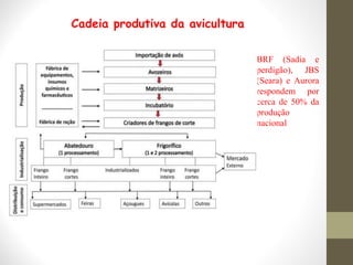 BRF (Sadia e
perdigão), JBS
(Seara) e Aurora
respondem por
cerca de 50% da
produção
nacional
Cadeia produtiva da avicultura
 